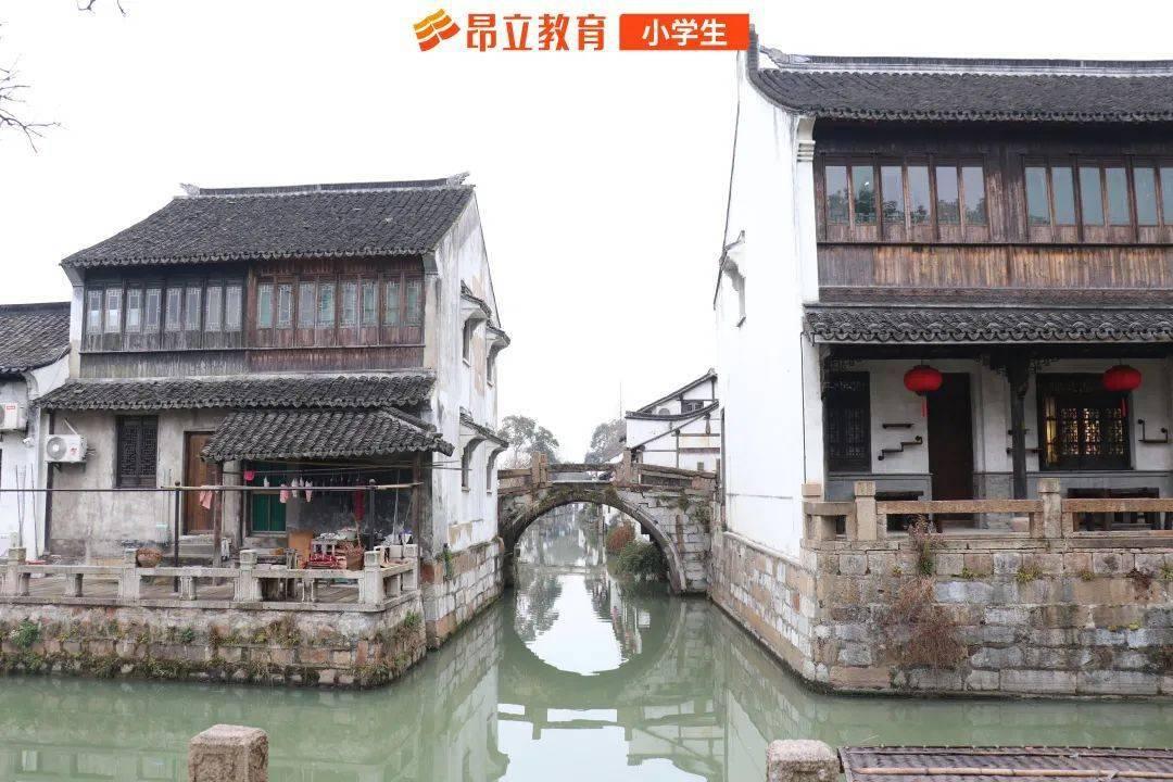 龙年看龙江|五九七农场 打造专属种植基地